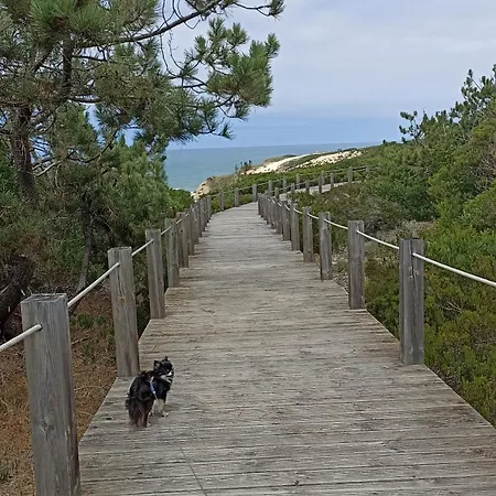 Appartement Tinyhouse Tilda - Near Famous Beaches
