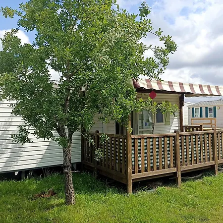 Tinyhouse Tilda - Near Famous Beaches Appartement