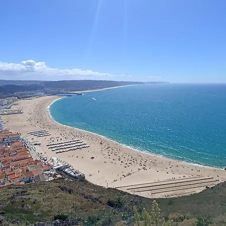 Tinyhouse Tilda - Near Famous Beaches Apartament